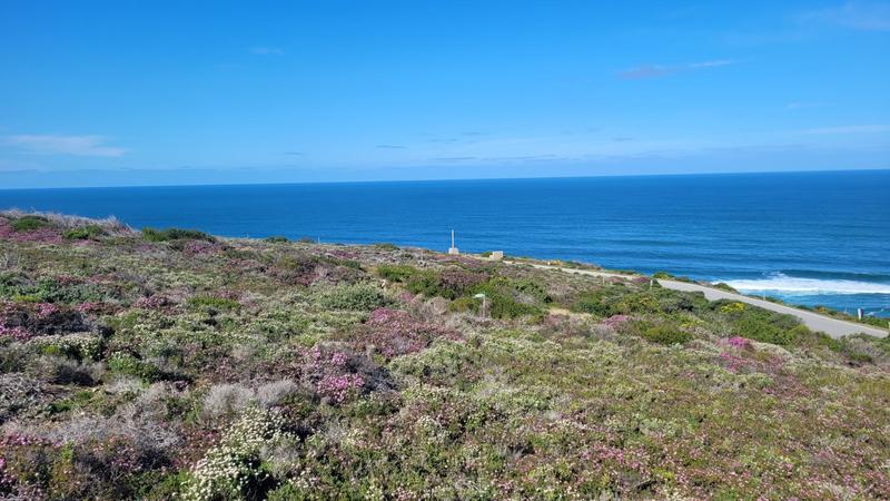 0 Bedroom Property for Sale in Dana Bay Western Cape